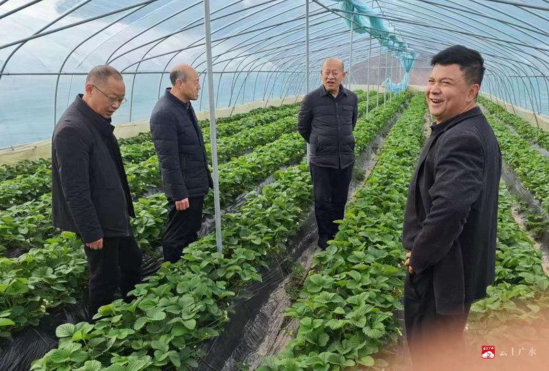 广水市实验高中走访慰问驻点村困难群众